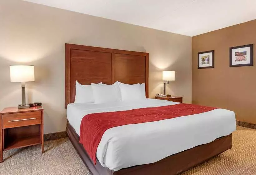 فندق Comfort Inn & Suites