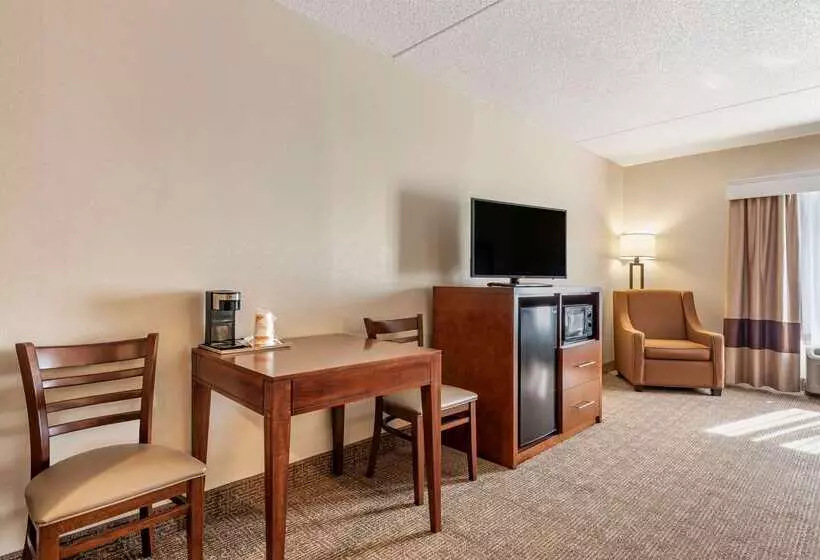 فندق Comfort Inn & Suites