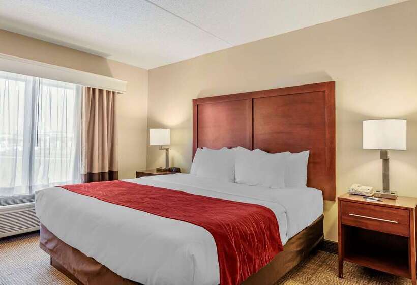 Отель Comfort Inn & Suites