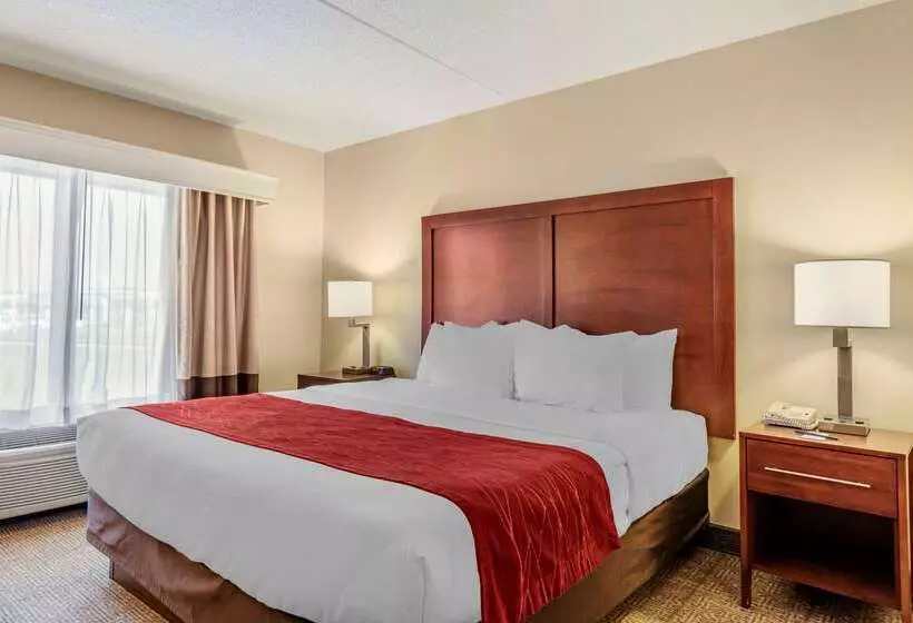 فندق Comfort Inn & Suites