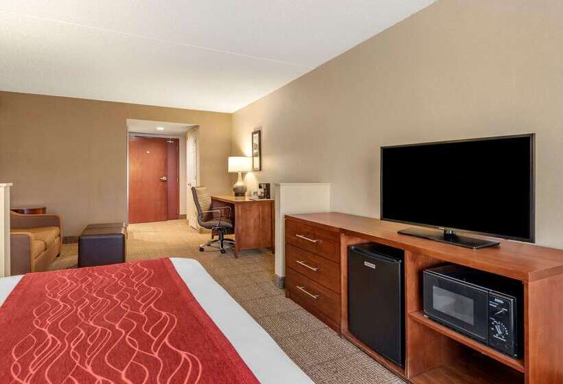 Отель Comfort Inn & Suites