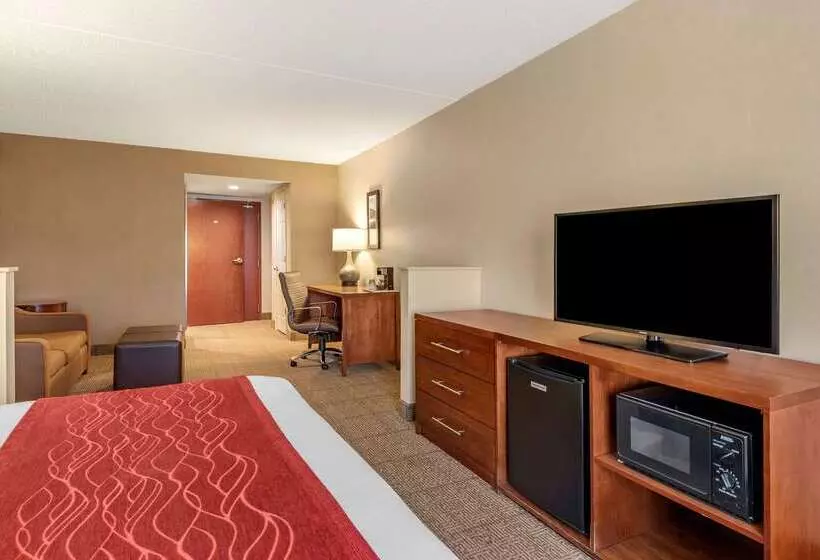 فندق Comfort Inn & Suites