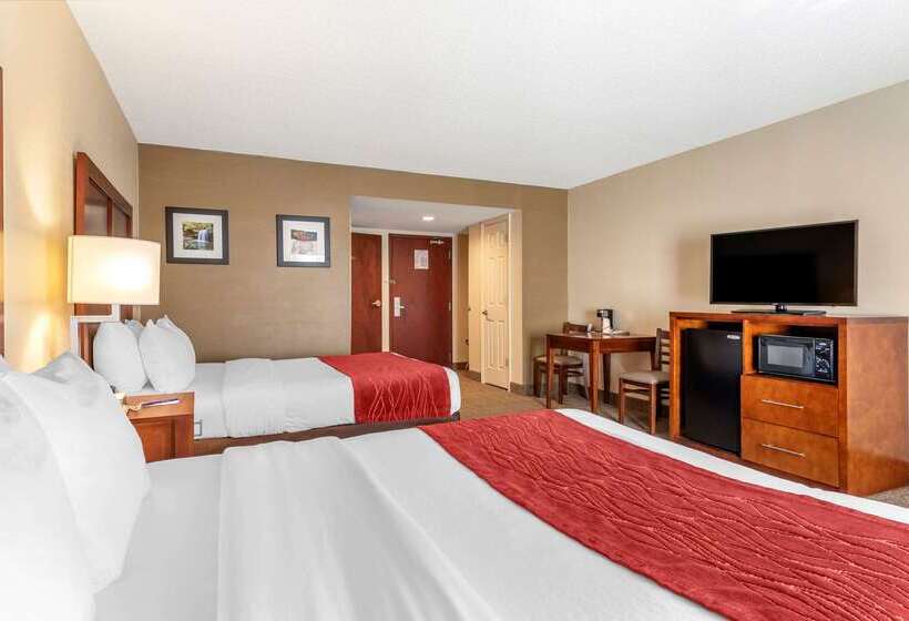 Отель Comfort Inn & Suites