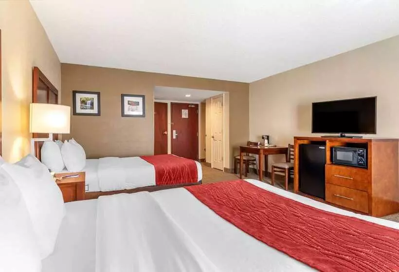 فندق Comfort Inn & Suites