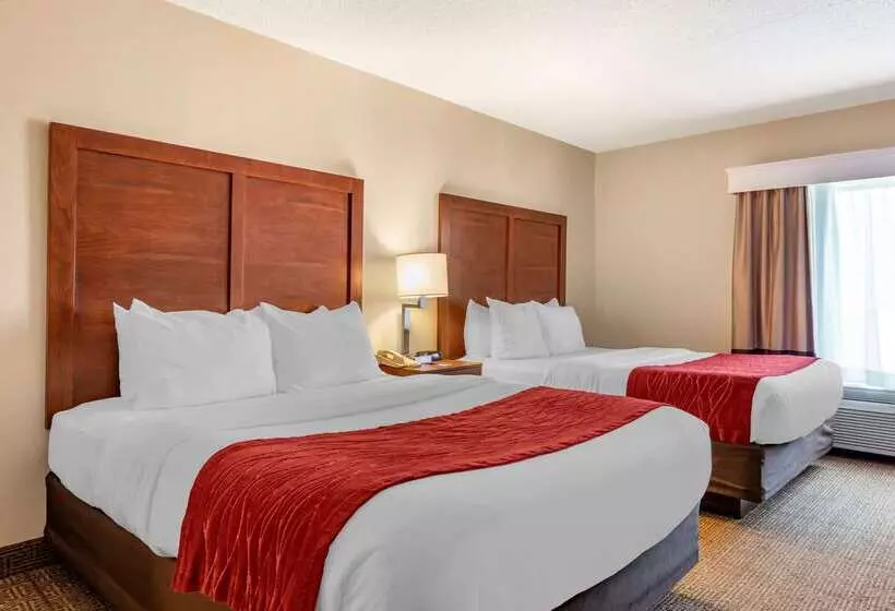فندق Comfort Inn & Suites