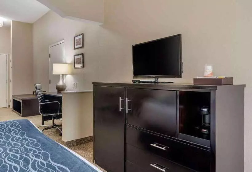 酒店 Comfort Inn & Suites Atlanta Smyrna