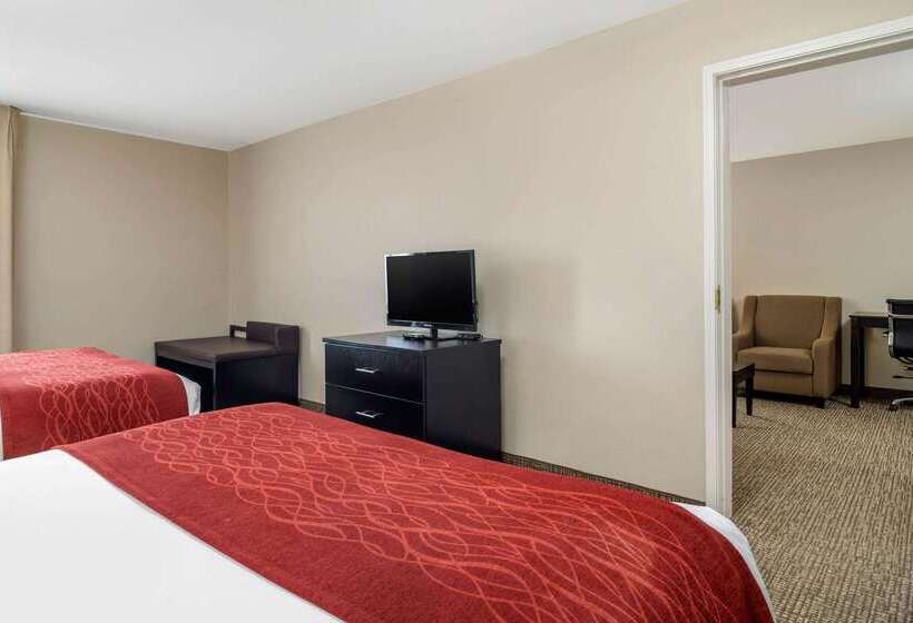 هتل Comfort Inn & Suites Atlanta Smyrna
