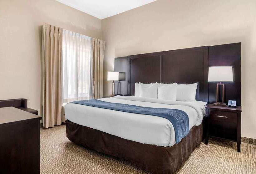 هتل Comfort Inn & Suites Atlanta Smyrna