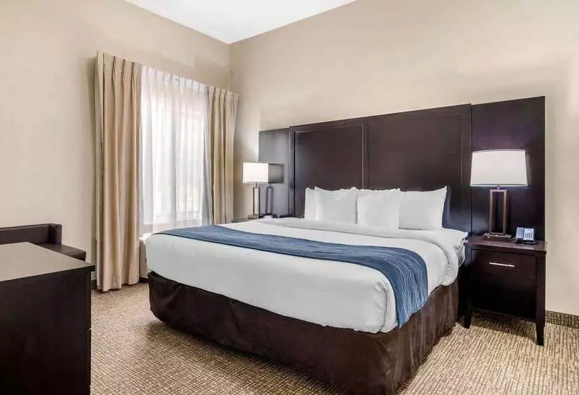 酒店 Comfort Inn & Suites Atlanta Smyrna