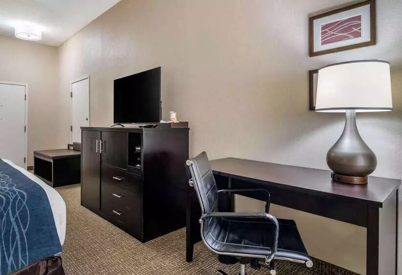 酒店 Comfort Inn & Suites Atlanta Smyrna