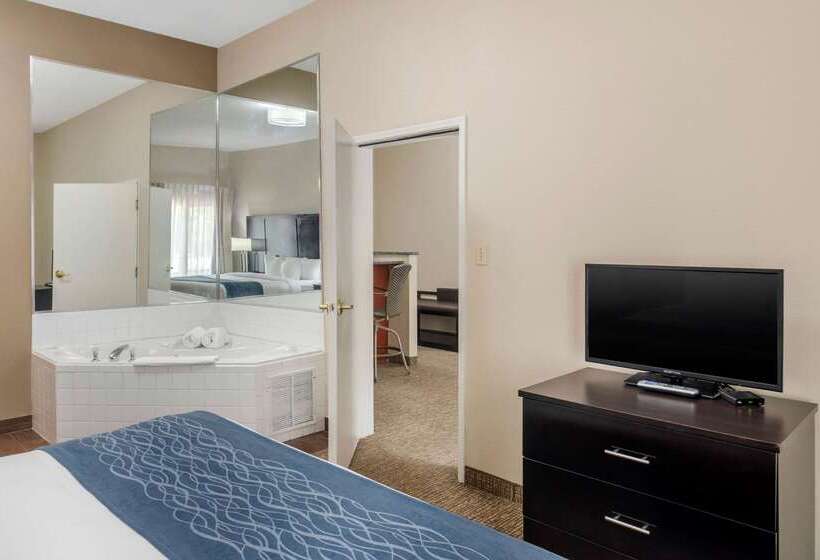 هتل Comfort Inn & Suites Atlanta Smyrna