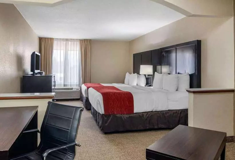 酒店 Comfort Inn & Suites Atlanta Smyrna
