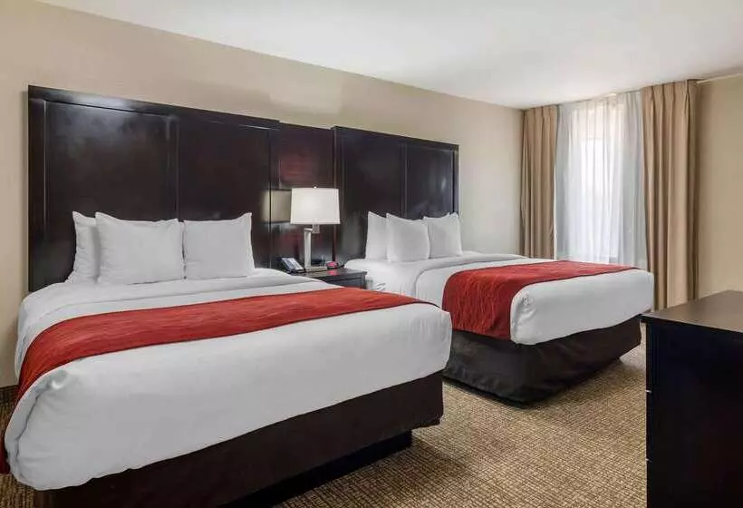 酒店 Comfort Inn & Suites Atlanta Smyrna