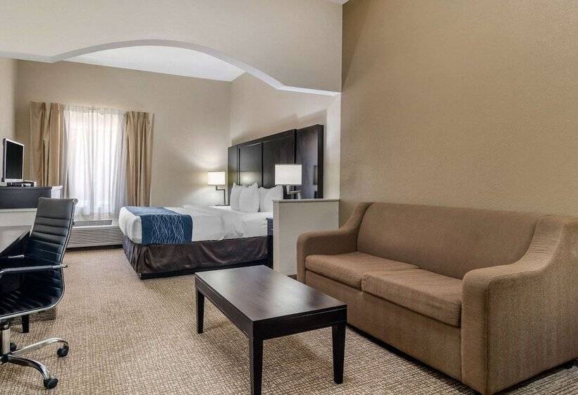 هتل Comfort Inn & Suites Atlanta Smyrna
