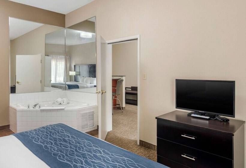 هتل Comfort Inn & Suites Atlanta Smyrna
