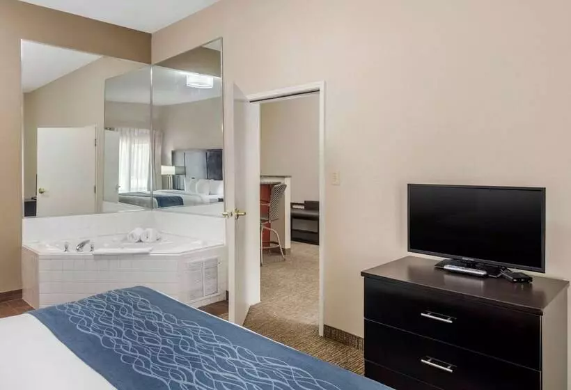 酒店 Comfort Inn & Suites Atlanta Smyrna
