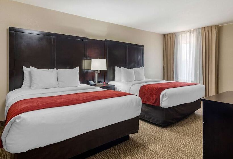 هتل Comfort Inn & Suites Atlanta Smyrna