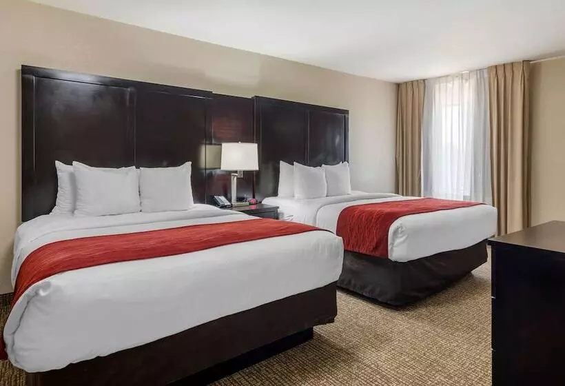 酒店 Comfort Inn & Suites Atlanta Smyrna
