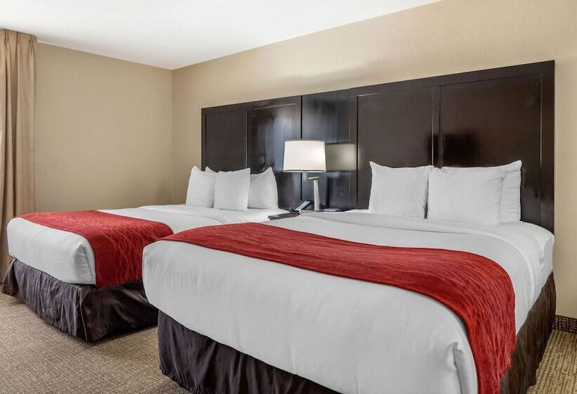 هتل Comfort Inn & Suites Atlanta Smyrna