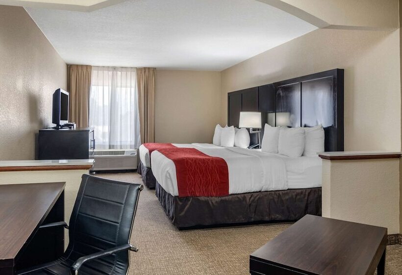 هتل Comfort Inn & Suites Atlanta Smyrna