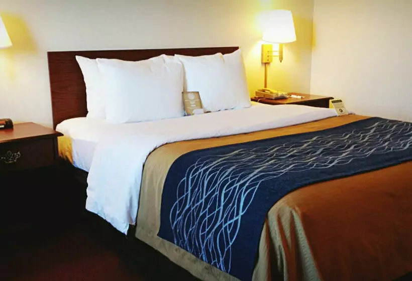 Hotelli Comfort Inn Tacoma  Seattle