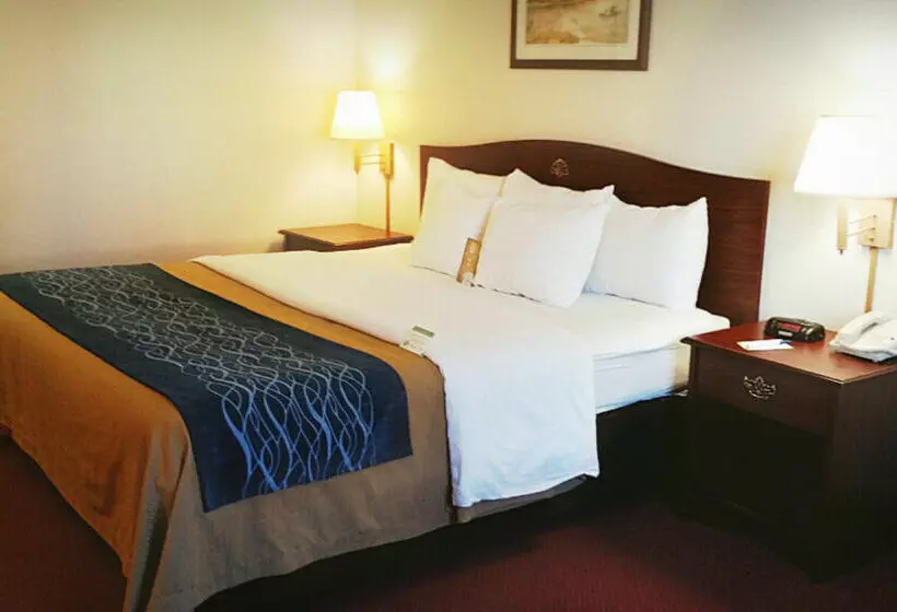 Hotelli Comfort Inn Tacoma  Seattle