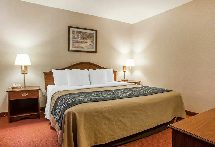 Hotelli Comfort Inn Tacoma  Seattle