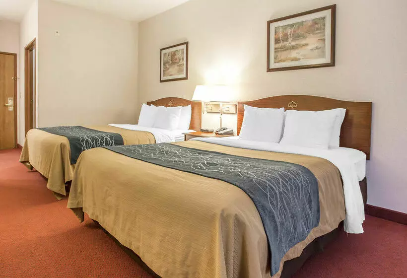 Hotelli Comfort Inn Tacoma  Seattle