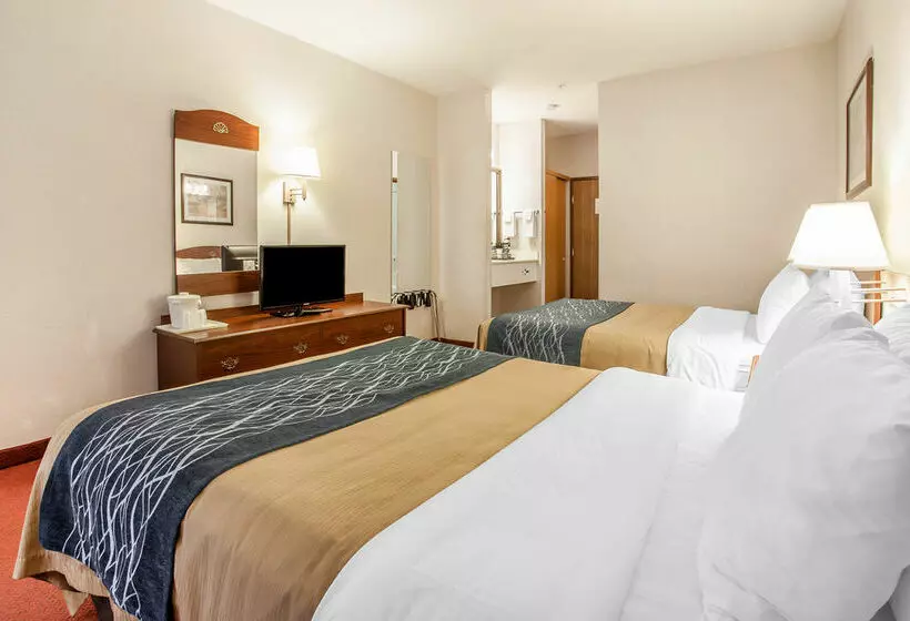 Hotelli Comfort Inn Tacoma  Seattle