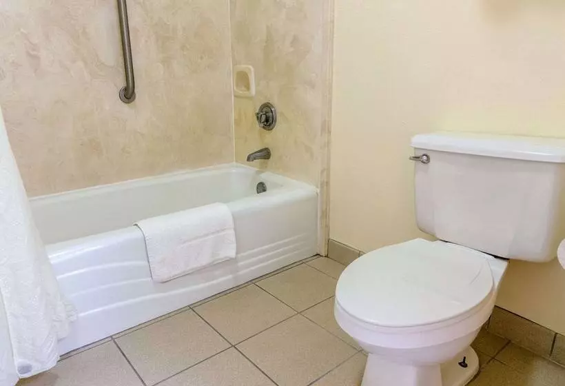 هتل Econo Lodge  Inn & Suites