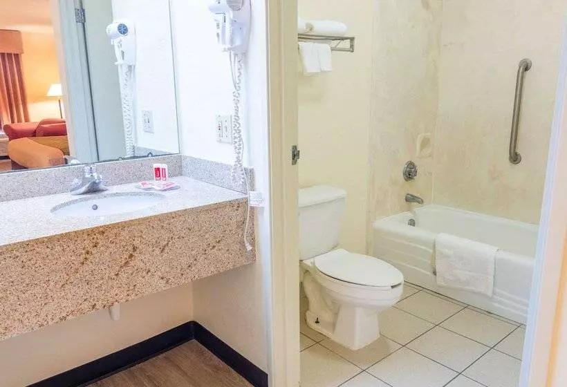 هتل Econo Lodge  Inn & Suites