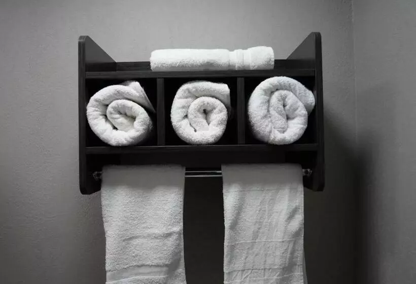 هتل Hilltop Express Inn