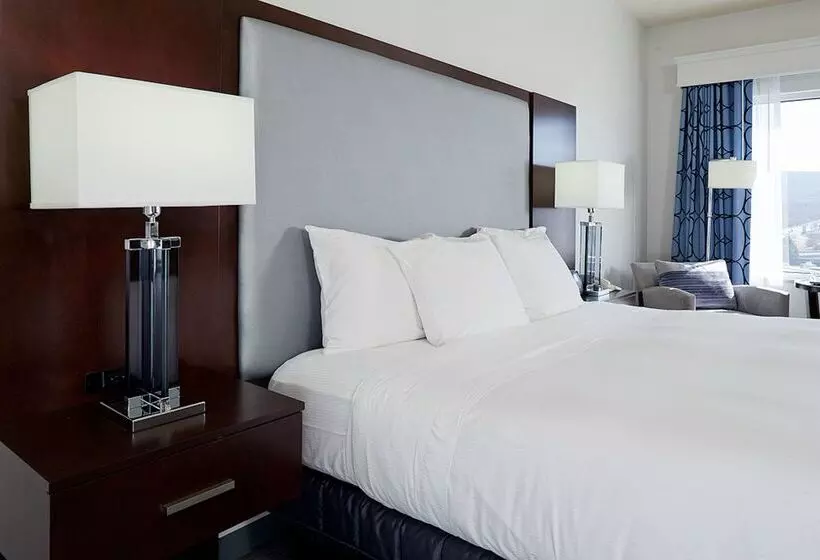 فندق Hilton Scranton & Conference Center