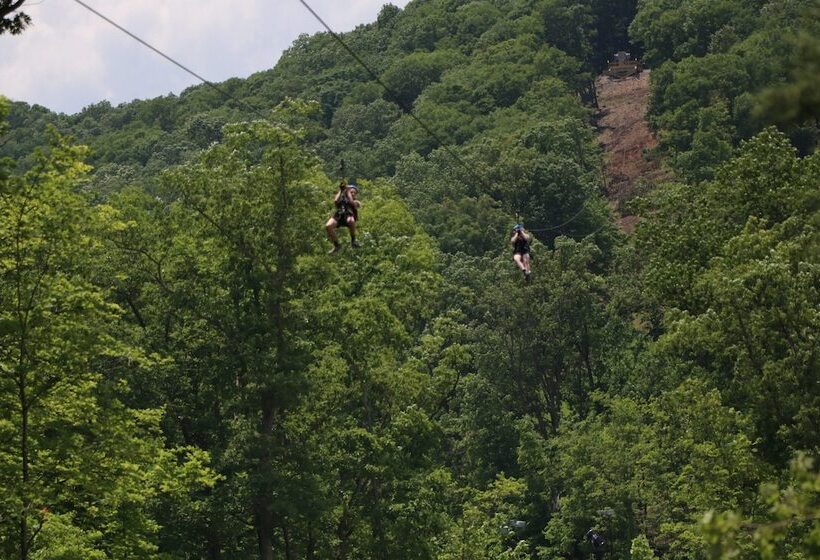 בית מלון כפרי Holiday Inn At Six Flags Saint Louis, An Ihg