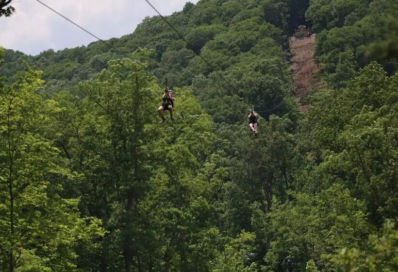 호텔 Holiday Inn At Six Flags Saint Louis, An Ihg