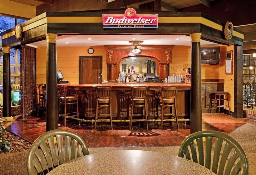 호텔 Holiday Inn At Six Flags Saint Louis, An Ihg