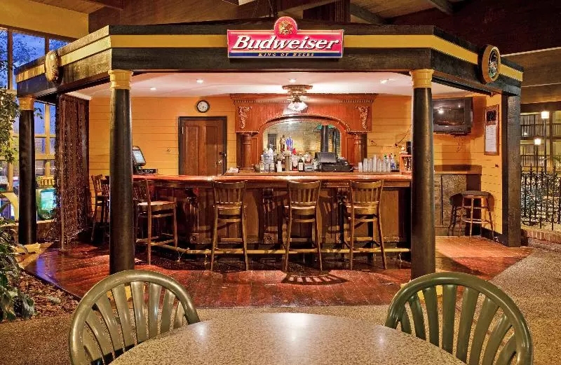 호텔 Holiday Inn At Six Flags Saint Louis, An Ihg