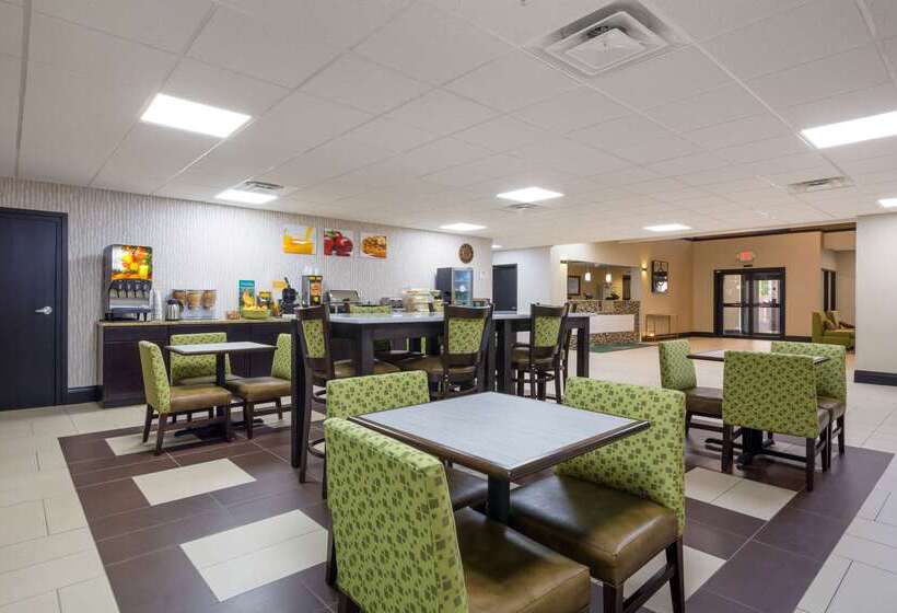 酒店 Quality Inn & Suites