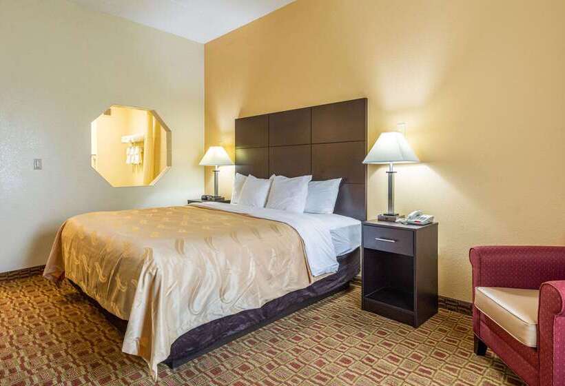 酒店 Quality Inn & Suites