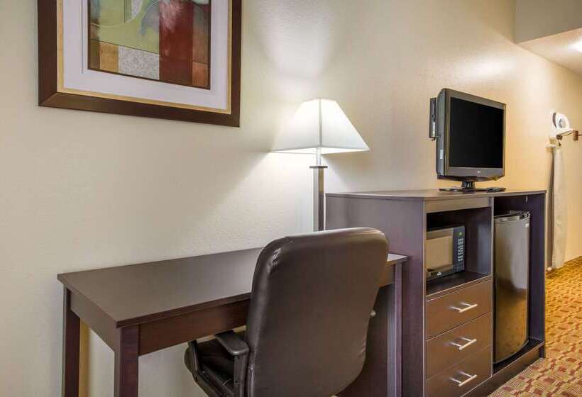 酒店 Quality Inn & Suites