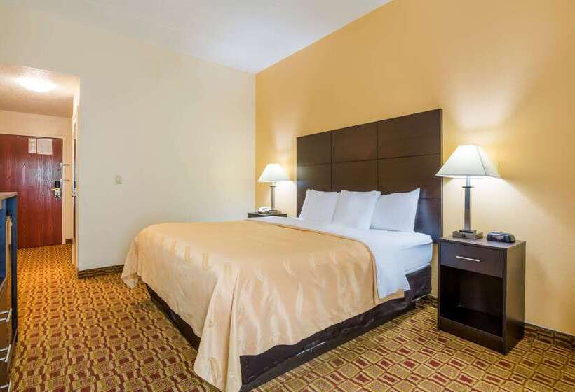 酒店 Quality Inn & Suites