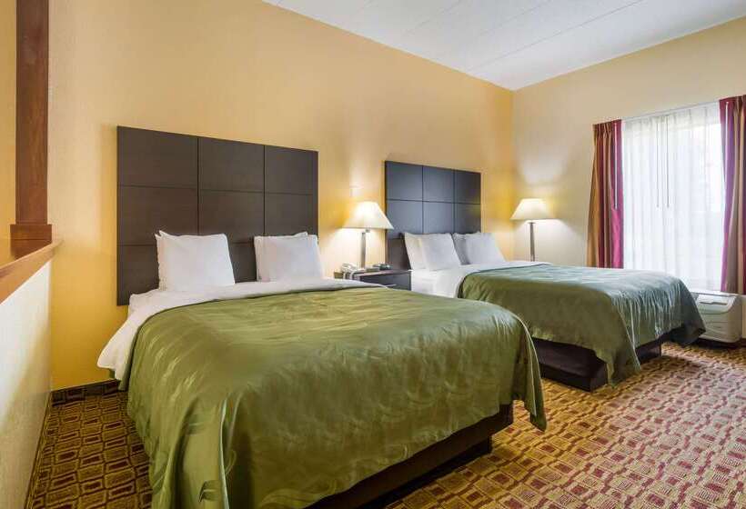 酒店 Quality Inn & Suites