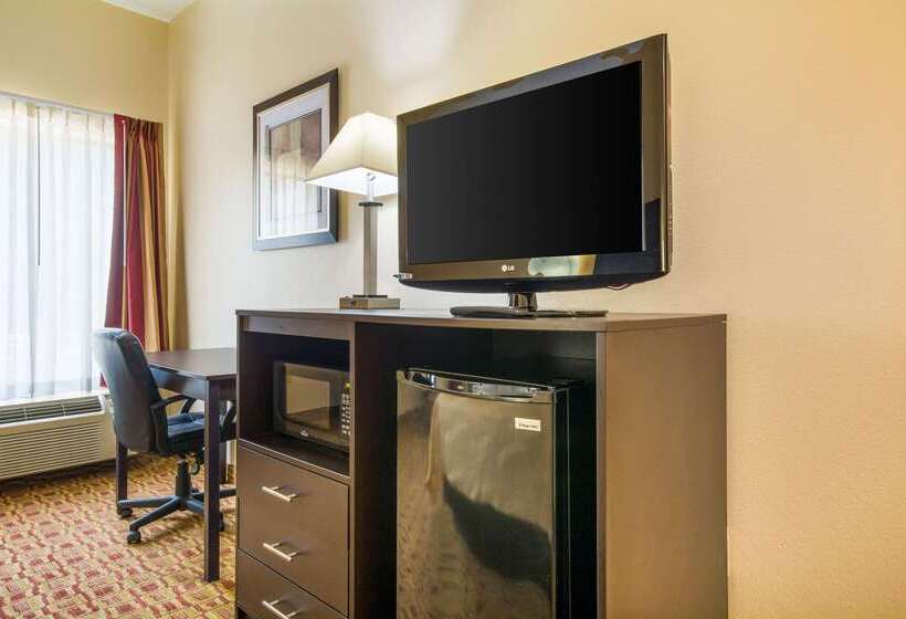 酒店 Quality Inn & Suites