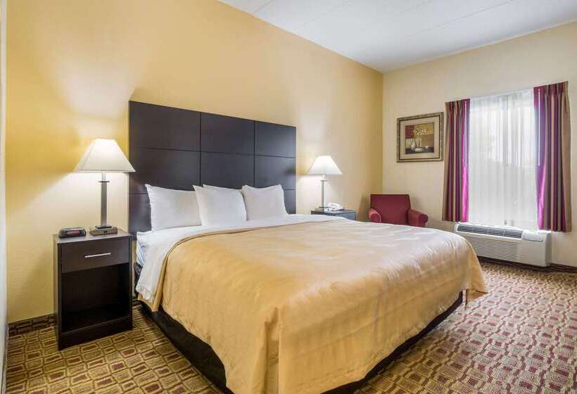 酒店 Quality Inn & Suites
