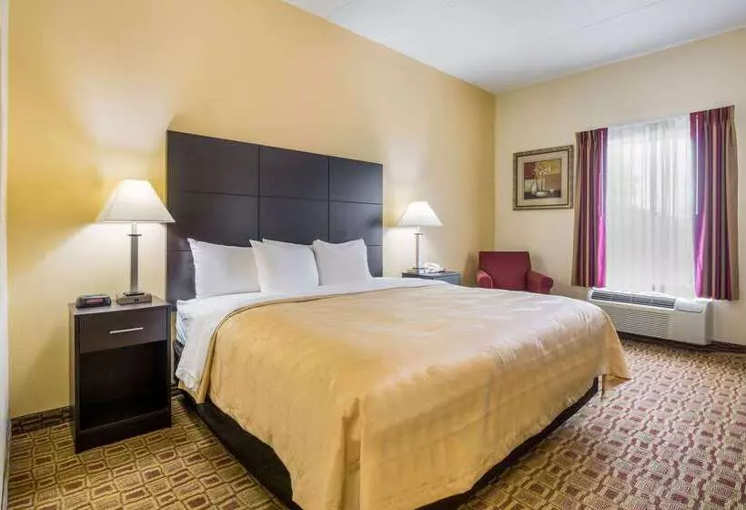 Отель Quality Inn & Suites