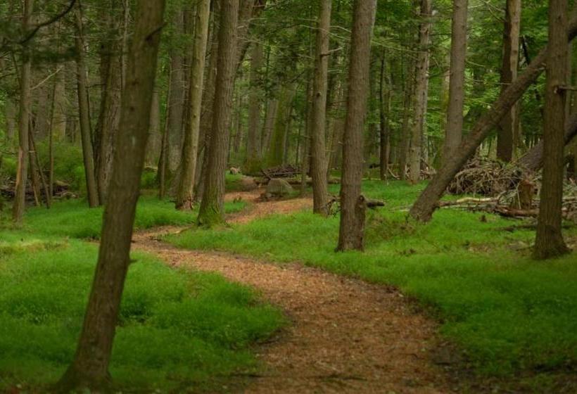 Капсульный Oтель River Mountain