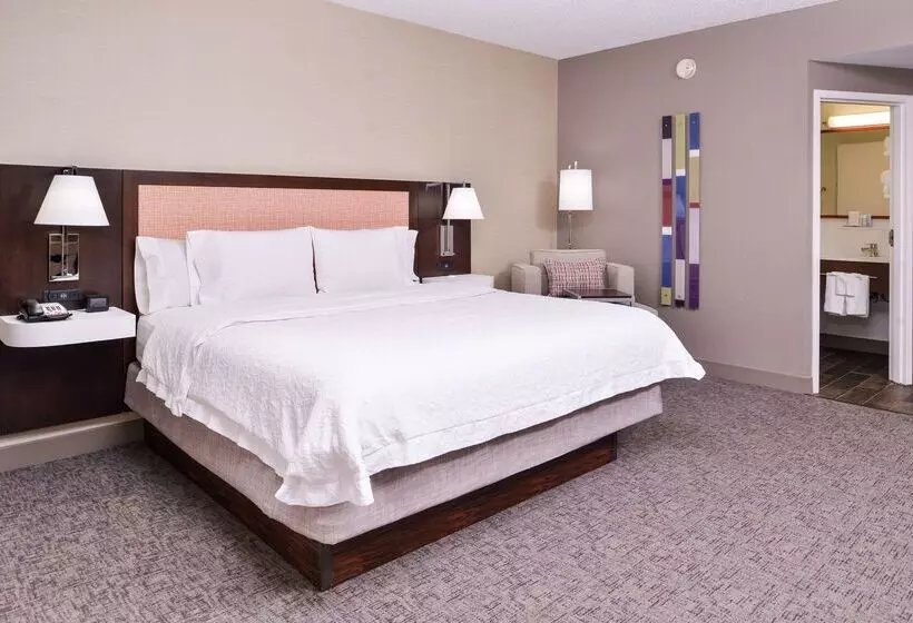 Hotel Hampton Inn Albuquerqueuniversity/midtown