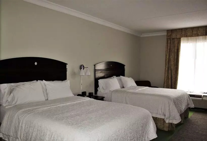 בית מלון כפרי Hampton Inn Americus