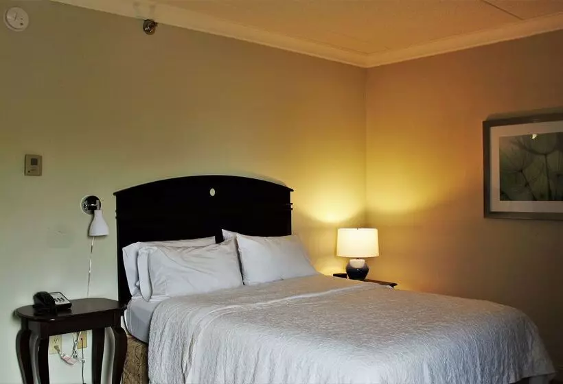 בית מלון כפרי Hampton Inn Americus