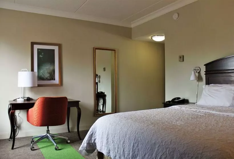 בית מלון כפרי Hampton Inn Americus